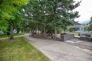 Photo 46