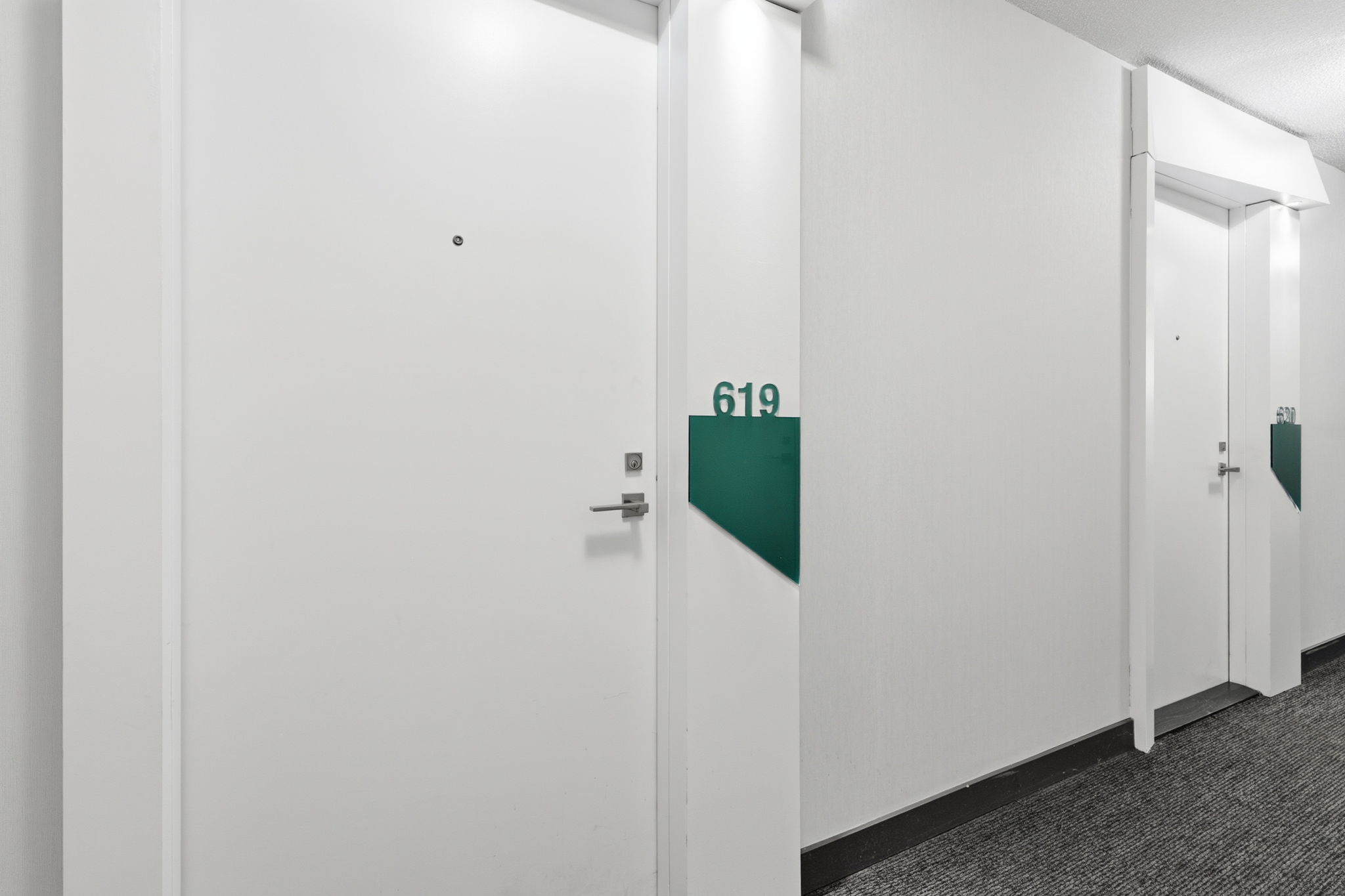 Toronto property showcase — delivered property photograph 27