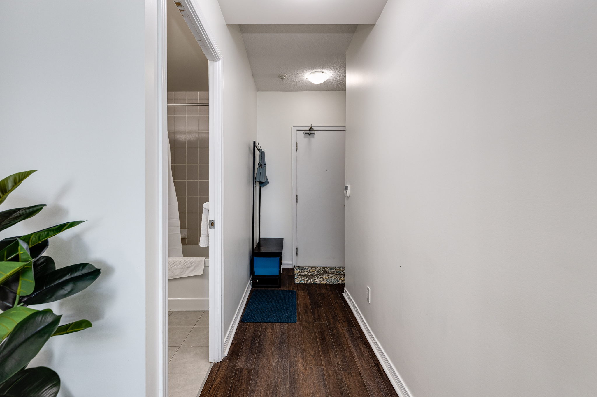 Toronto property showcase — delivered property photograph 14