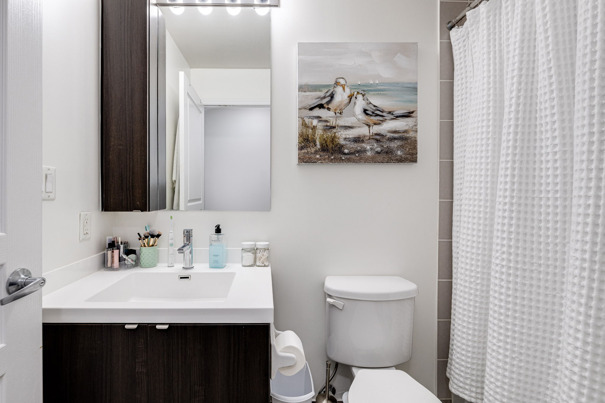 Toronto property showcase — delivered property photograph 12