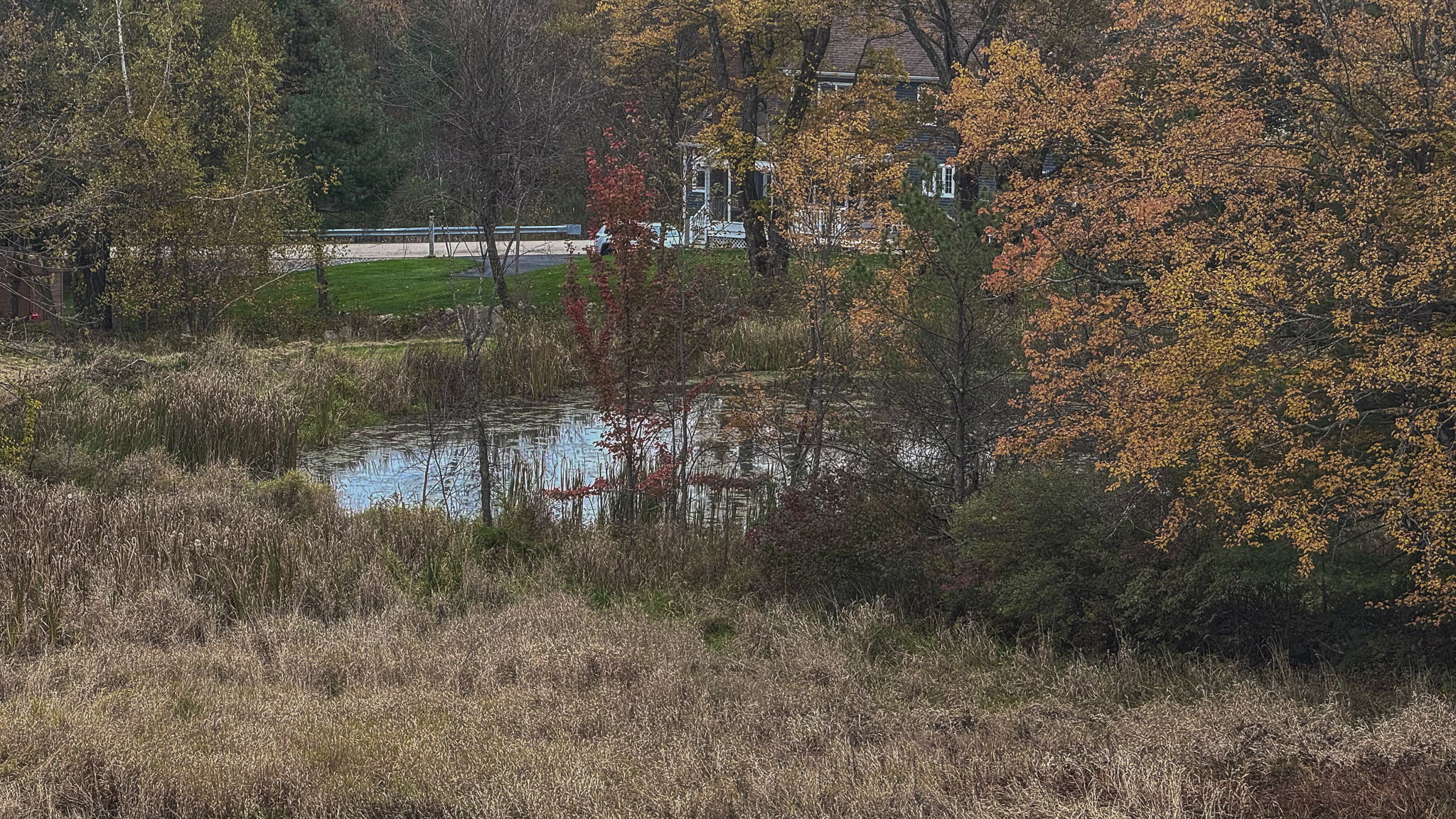  Photo 21
