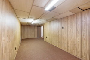  Photo 49