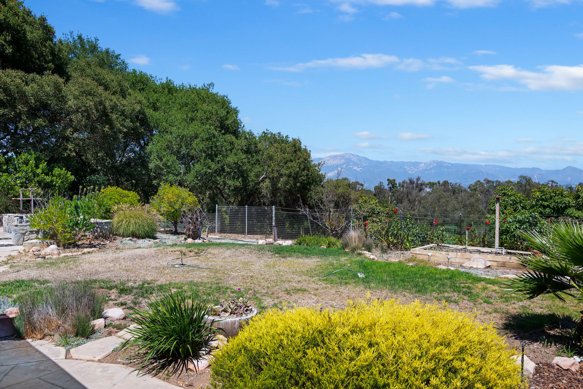 36 - Back Yard