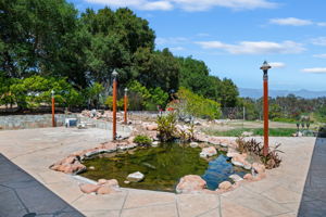 32 - Koi Pond