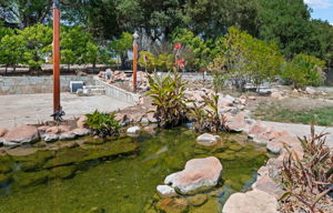 34 - Koi Pond