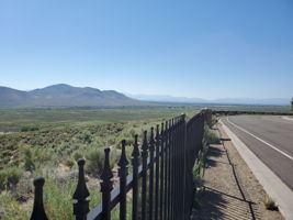  Photo 43