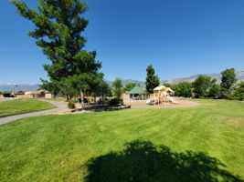  Photo 45