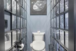  Photo 38
