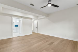 Downstairs Guest Suite