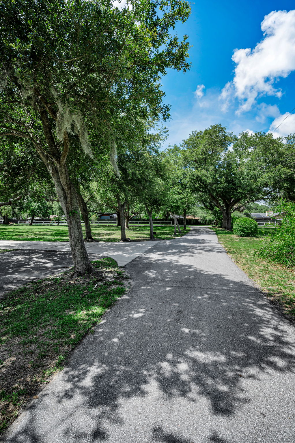 Driveway2
