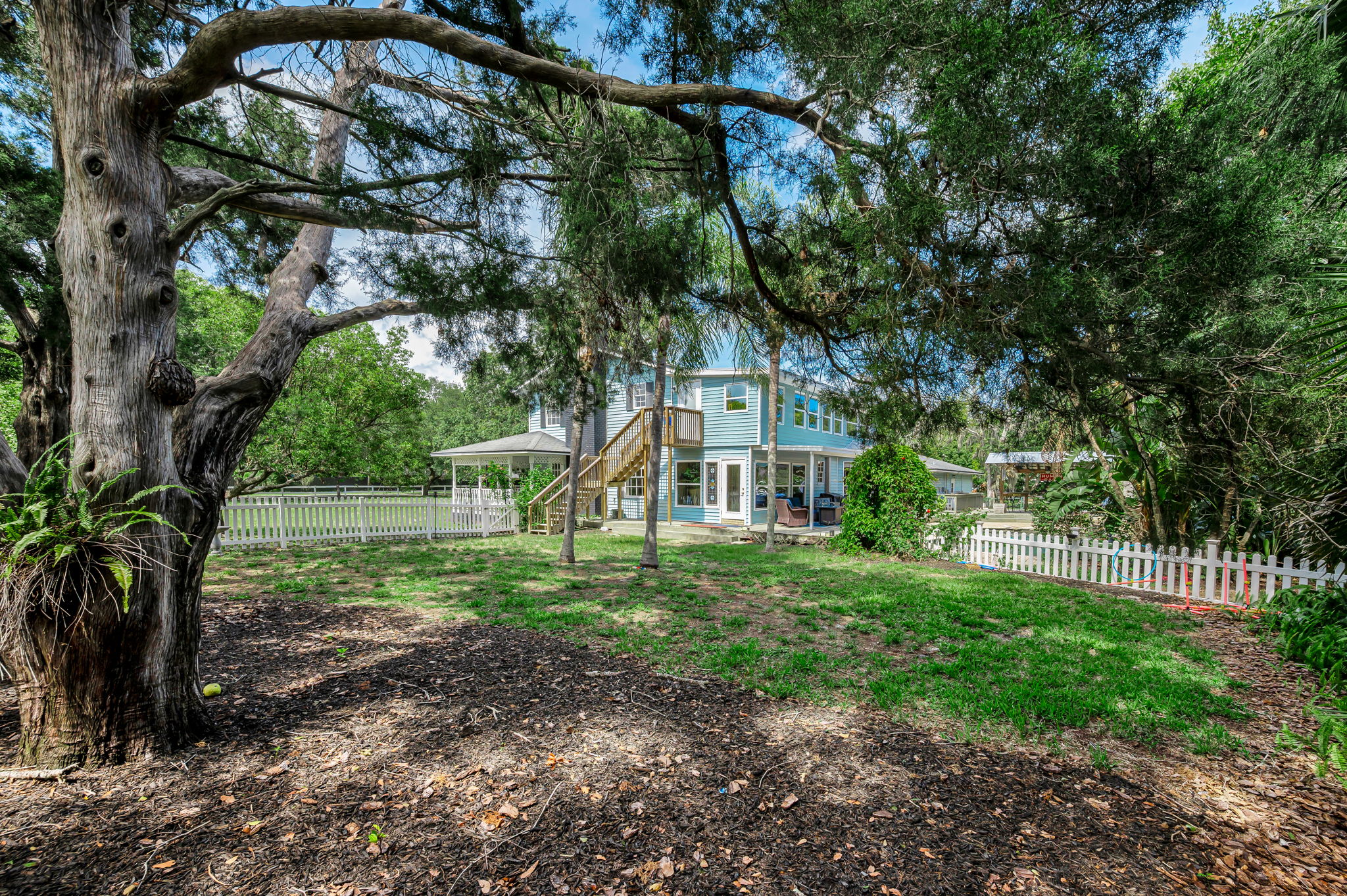 Backyard4