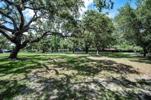 Frontyard1