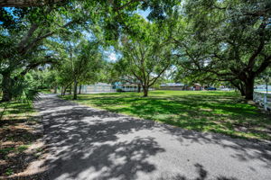 Driveway3