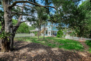 Backyard4