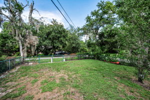 Backyard1