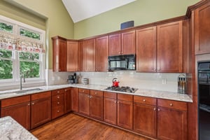 Horizon Ct-S1107-031.jpg