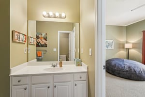 Horizon Ct-S1107-041.jpg