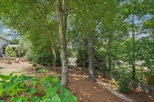 Horizon Ct-S1107-083.jpg