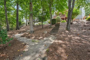 Horizon Ct-S1107-085.jpg