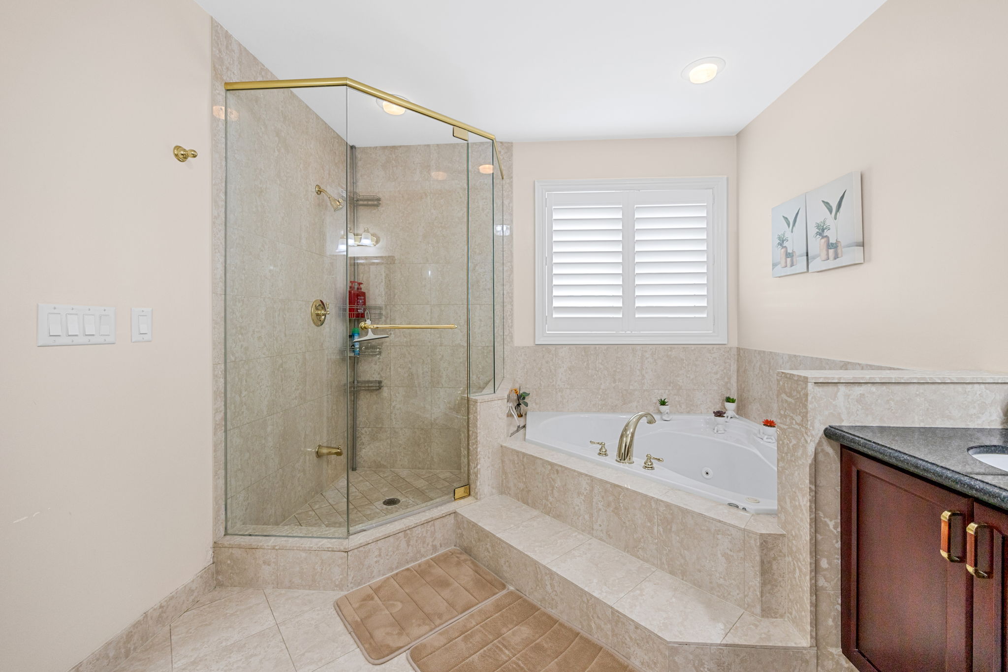 Mississauga property showcase — delivered property photograph 25