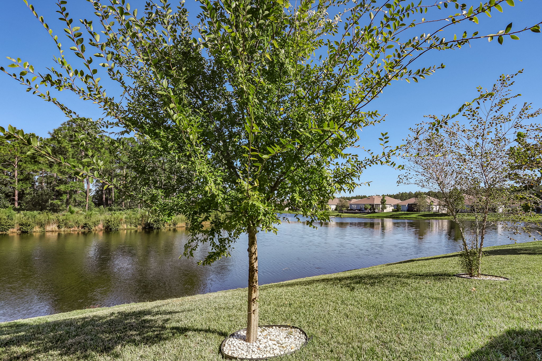 Lake View