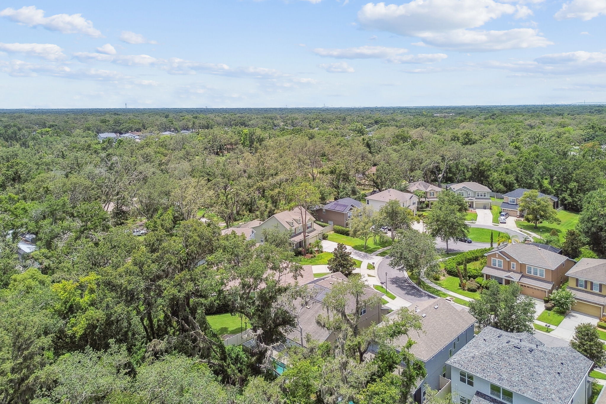 DJI_0244