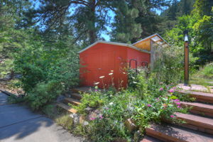  Photo 40