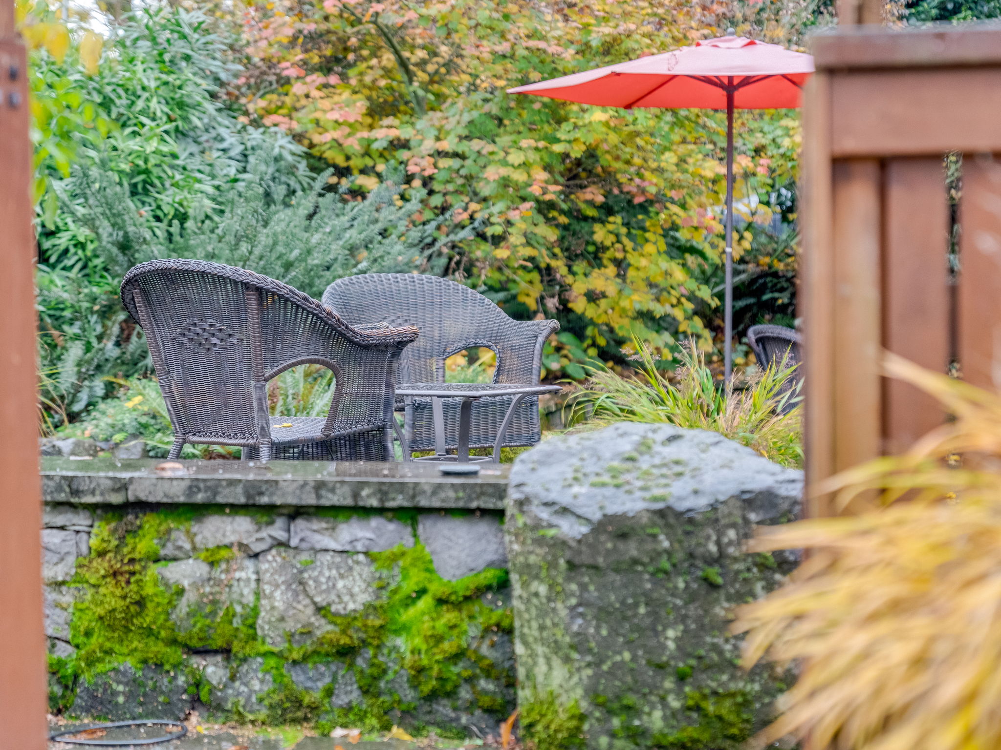 Backyard/Patio