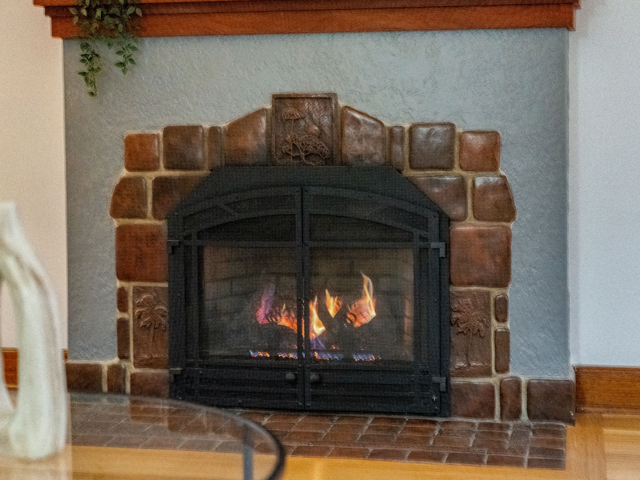 Fireplace Detail