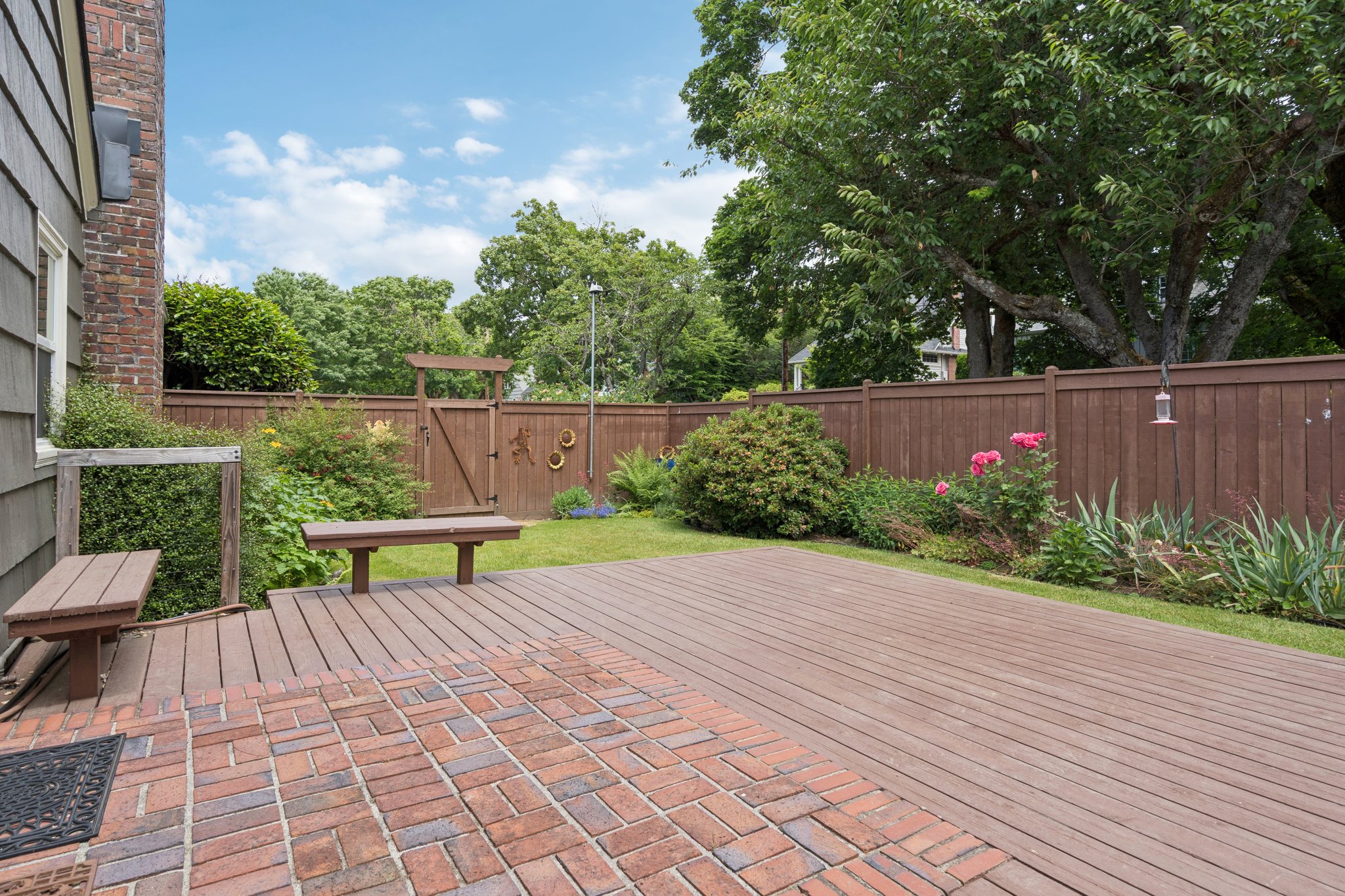118.jpg
