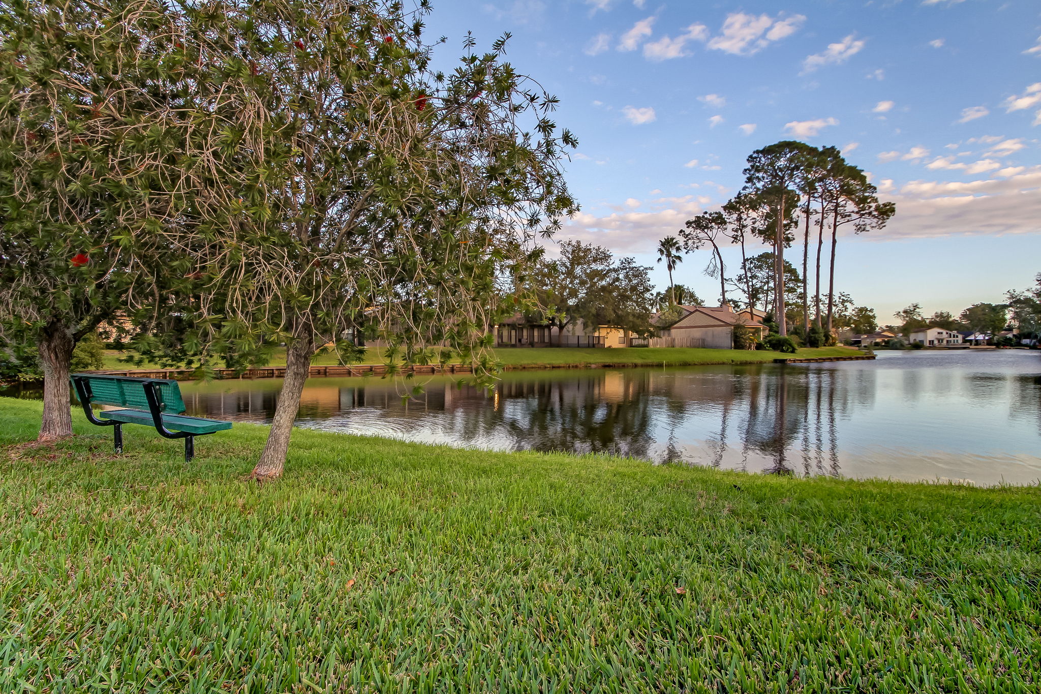 Lake Mandarin
