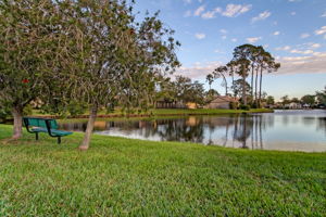 Lake Mandarin