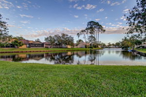 Lake Mandarin