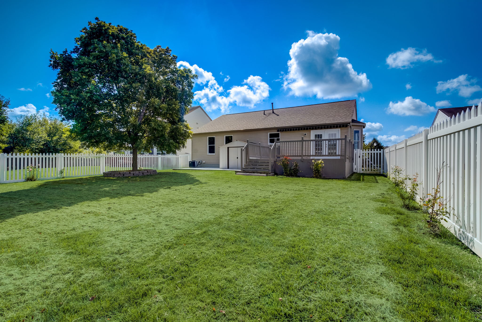 Cove Lake Ln-049