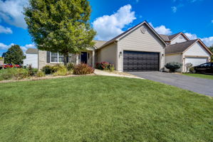 Cove Lake Ln-004