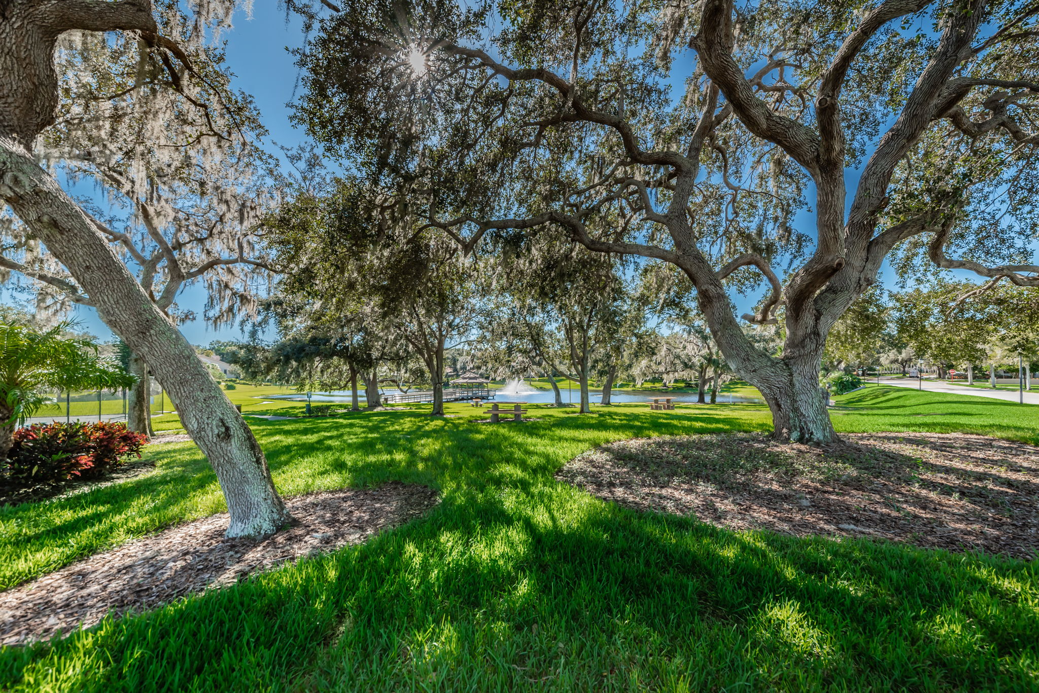 5-Community Park