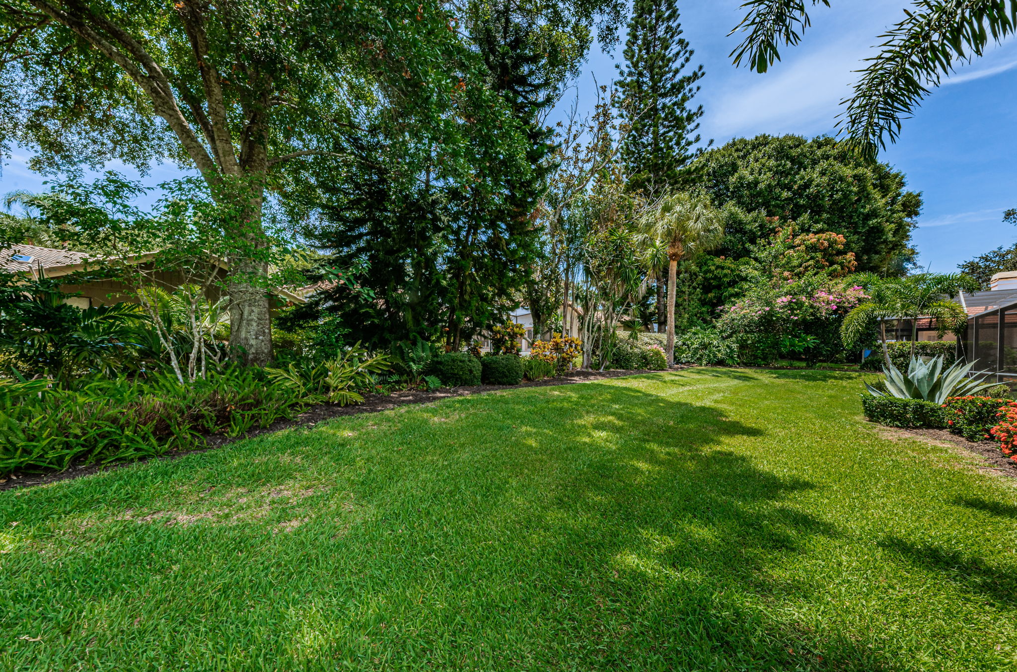 Backyard3-2