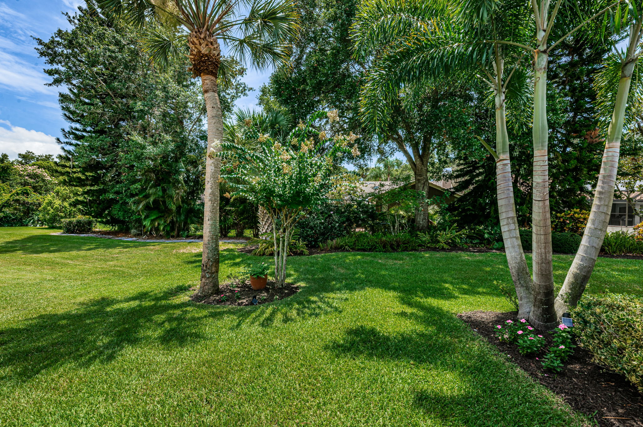 Backyard2-2