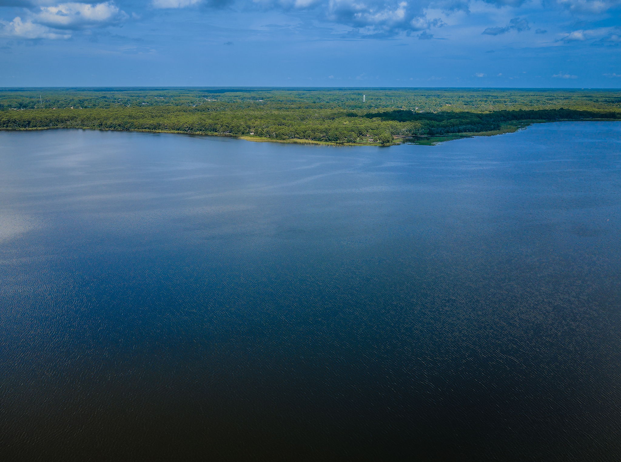 Lake Tarpon View11