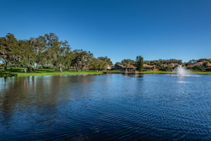 19-Community Park