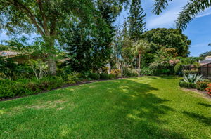 Backyard3-2