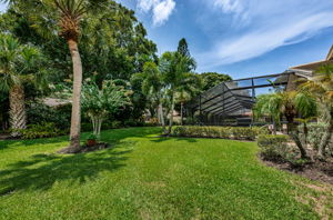 Backyard1-2