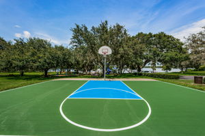 Basketball Court6
