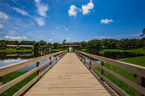 Park53