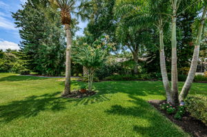 Backyard2-2