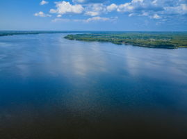 Lake Tarpon View23