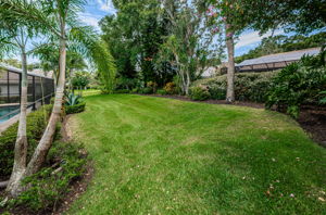 Backyard7