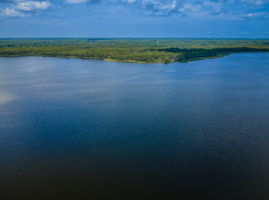Lake Tarpon View11