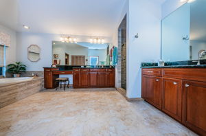 Master Bathroom1c