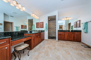 Master Bathroom1a